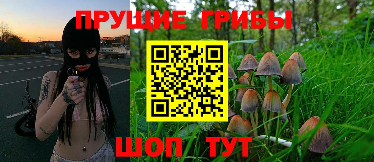 Галлюциногенные грибы Psilocybine cubensis  Вход с VPN  Ковров 
