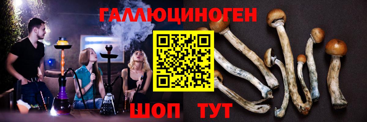 Псилоцибиновые грибы прущие грибы Ковров